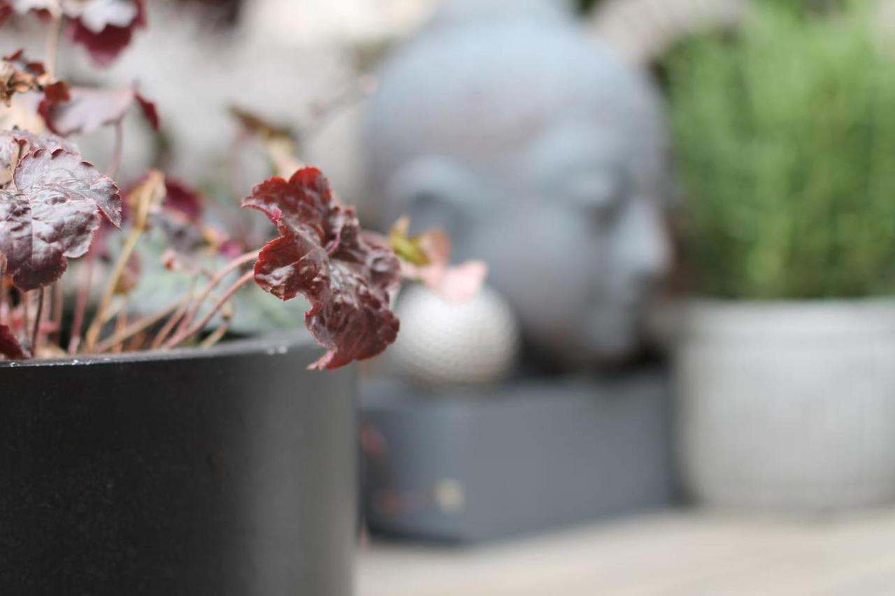 Exklusive Designferienwohnung The Backyard Tby 02 特里尔 外观 照片